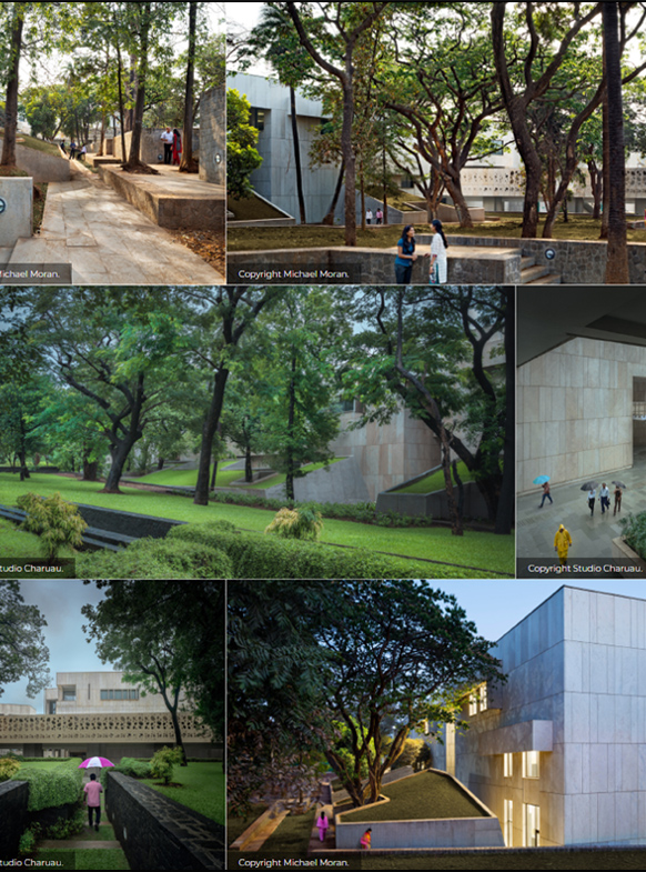 BOSTON ARCHITECTURAL COLLEGE - Slowness: Banyan Park, Tata Consultancy Services, Mumbai, India
