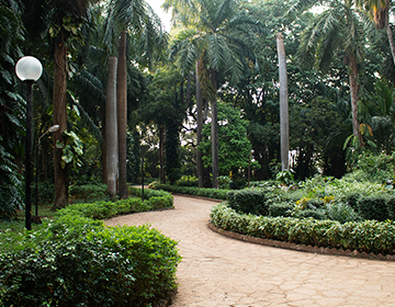 Colaba Woods - Mumbai