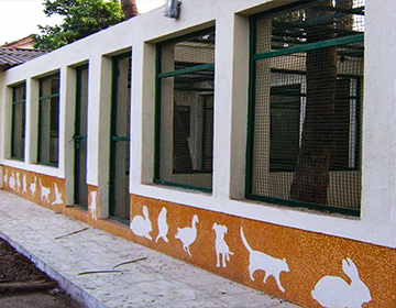 THE BAI SAKARBAI DINSHAW PETIT HOSPITAL FOR ANIMALS